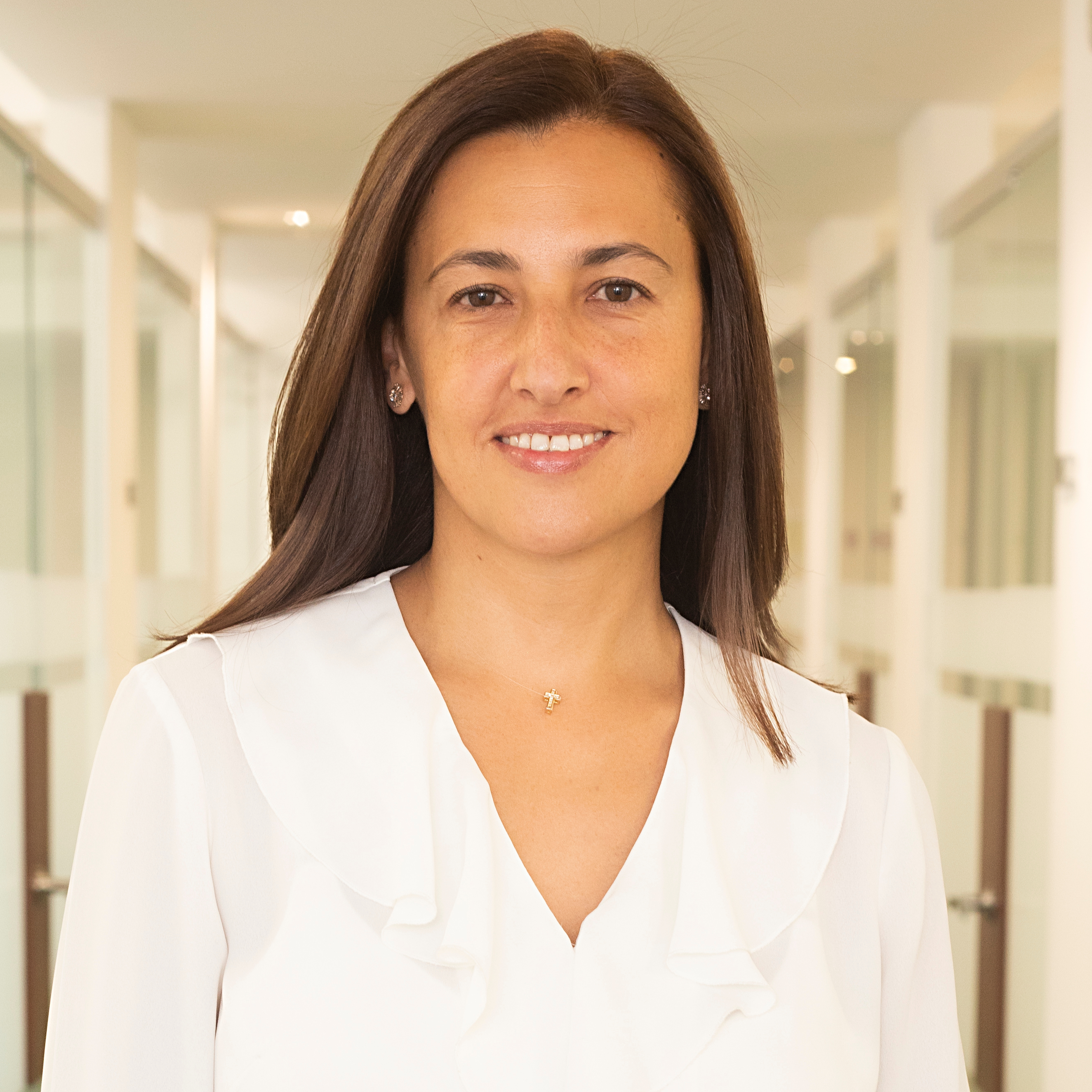 Meritas | Latin America & Caribbean: A Legal Guide for Business Investment  and Expansion